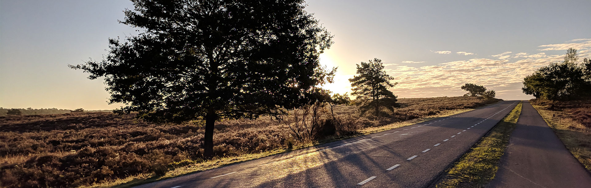 Rust en ruimte in het hart van de Veluwe