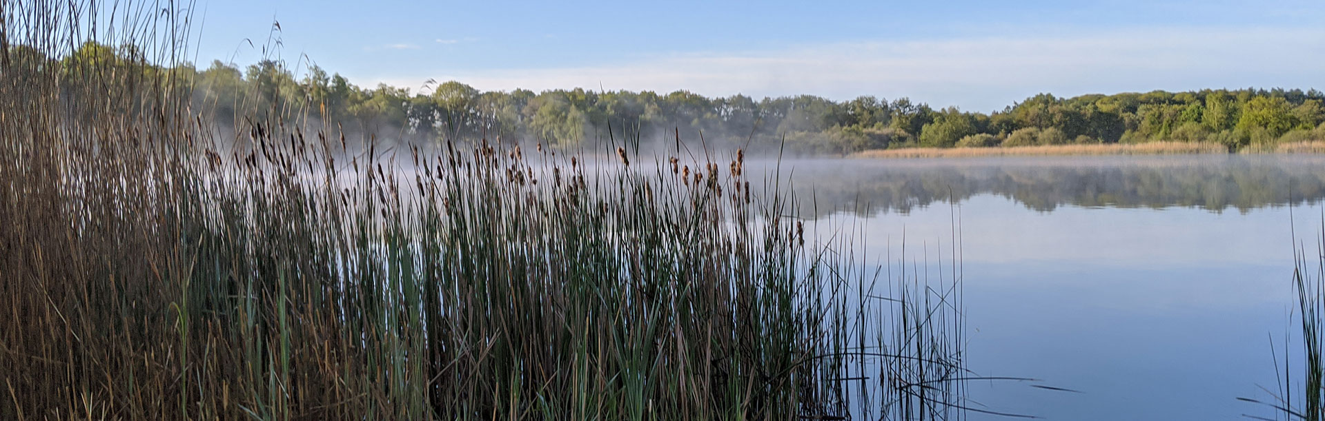 Rust en ruimte in het hart van de Veluwe op Recreatiepark Uddelermeer