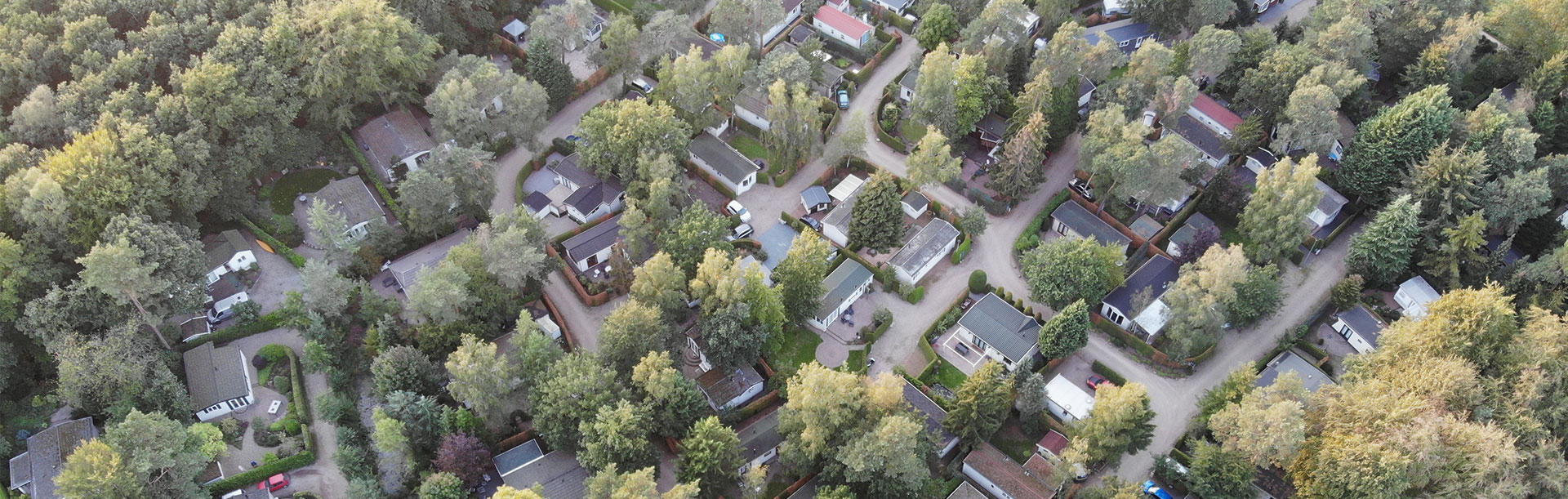 Rust en ruimte in het hart van de Veluwe op Recreatiepark Uddelermeer