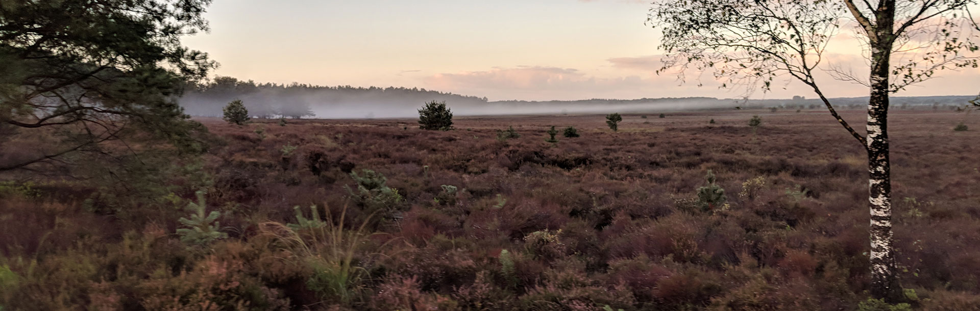 Rust en ruimte in het hart van de Veluwe